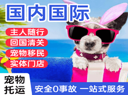 兰州机场快运国际宠物托运 【国
